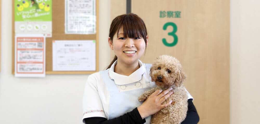 倉宗 恵