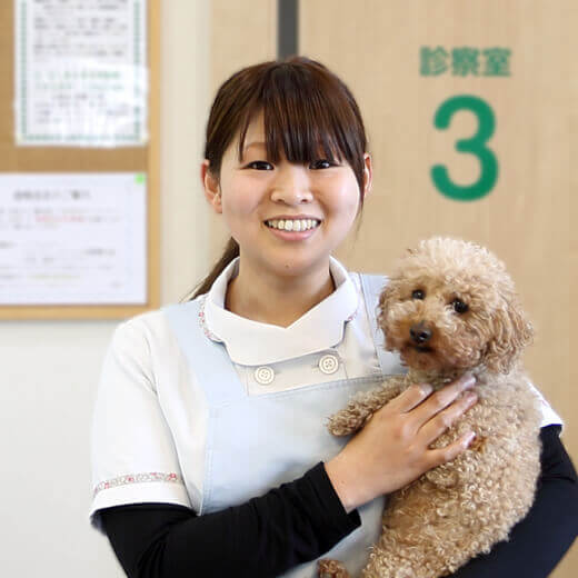 倉宗 恵