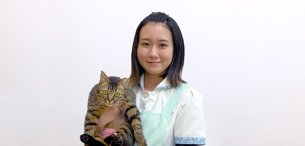 佐々木 典紗